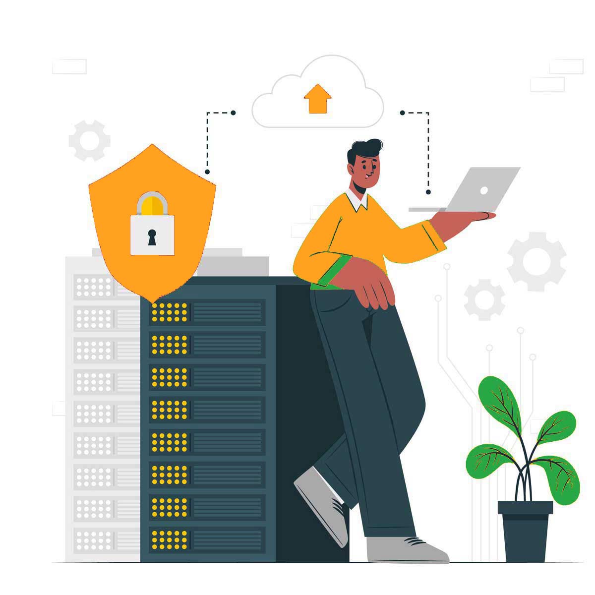 cheap web hosting india